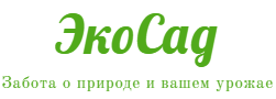 ЭкоСад