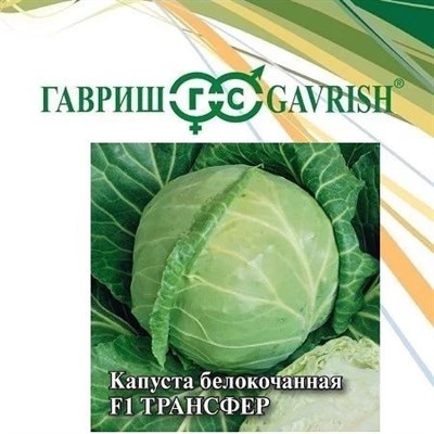 Капуста белокоч. Трансфер F1 25,0 г ранняя 10005399 - фото 134