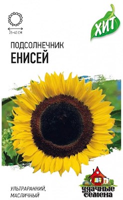 Подсолнечник Енисей 5 г ХИТ х3 1999945614 - фото 1468