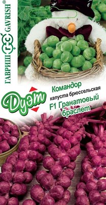 Капуста брюссел. Гранатовый браслет F1 0,1 г+Командор 0,1 г серия Дуэт Н21 1026999143 - фото 190