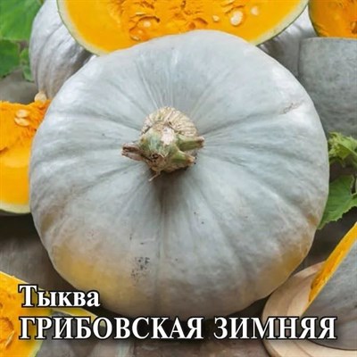 Тыква Грибовская зимняя  25,0 г 10005565 - фото 2394