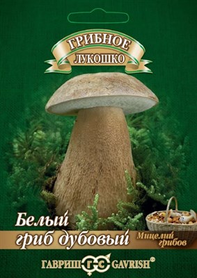 Белый гриб Дубовый на зерновом субстрате, больш. пак. 15 мл 1910427 - фото 2526