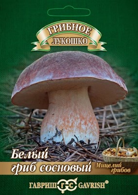 Белый гриб Сосновый на зерновом субстрате, больш. пак. 15 мл 1910429 - фото 2530