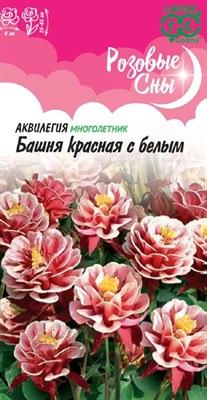 Аквилегия Башня красная с белым, обыкновенная* 0,05 г, серия Розовые сны Н20 1026995958 - фото 2576