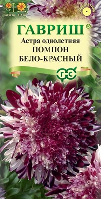 Астра Помпон бело-красный, однолетняя (помпонная) 0,1 г 1999949973 - фото 2774