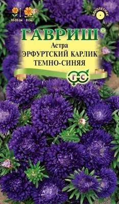 Астра Эрфуртский карлик Темно-синяя, однолетняя, 0,3 г 001130 - фото 2837