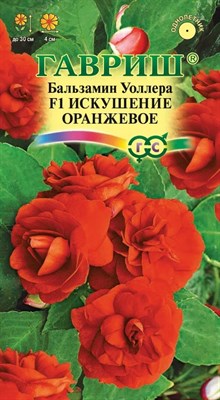 Бальзамин Искушение оранжевое F1 (Уоллера)* 4 шт. 1071856868 - фото 2848