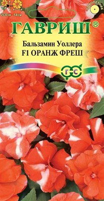 Бальзамин Оранж фреш F1 (Уоллера (махр)* 4  шт. 1071856808 - фото 2859