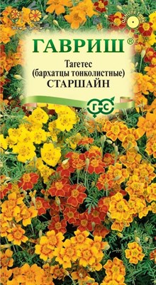 Бархатцы тонколист. Старшайн, смесь (Тагетес) 0,05 г DH 005646 - фото 2939