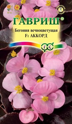 Бегония Аккорд F1 вечноцв. гранул. 4 шт. пробирка 1071857184 - фото 2942