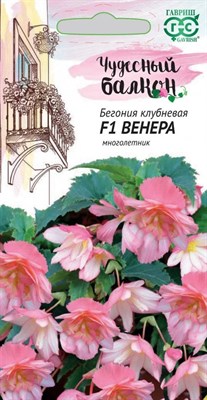 Бегония Венера F1 клубневая, амп. гранул. 4 шт. пробирка, серия Чудесный балкон 10002118 - фото 2956