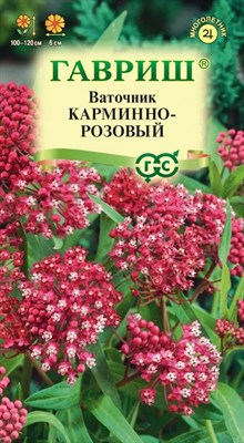 Ваточник Карминно-розовый (мясо-красный)  0,03 г 10006583 - фото 3019