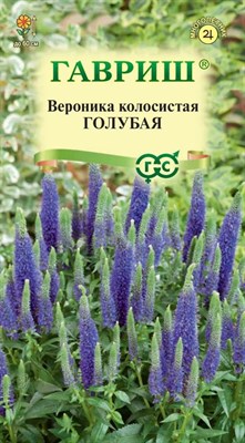 Вероника Голубая (колосистая)* 0,02 г DH 1071857735 - фото 3040