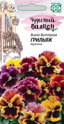 Виола Грильяж, Виттрока (Анютины глазки)* 0,05 г серия Чудесный балкон 1071857520 - фото 3084