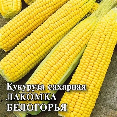 Кукуруза Лакомка Белогорья сахарная 100,0 г 191223901 - фото 309