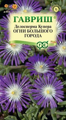 Делосперма обильноцветущая Огни большого города, гранул. пробирка 7 шт. Н22 1071857620 - фото 3338