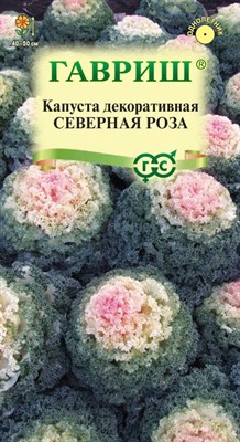 Капуста декоративная Северная роза* 0,05 г (воронежская розовая ) DH 1071858732 - фото 3445