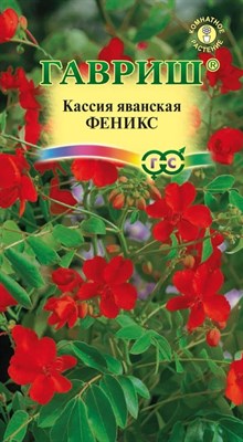 Кассия Феникс, яванская 3 шт. 1999943533 - фото 3449