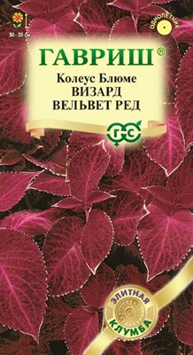 Колеус Визард Вельвет ред* 4 шт. Элитная клумба 1071857908 - фото 3489