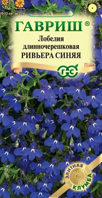 Лобелия Ривьера Синяя 4 шт. пробирка сер. Элитная клумба 1071857272 - фото 3622