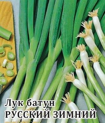 Лук батун Русский зимний  10,0 г 1999946303 - фото 369