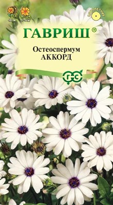 Остеоспермум Аккорд (белый)  0,1 г 10001714 - фото 3787