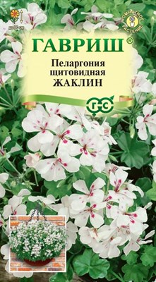 Пеларгония Жаклин, ампельная* 3 шт. Н22 107185012 - фото 3801