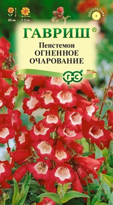 Пенстемон гибридный Огненное очарование* 0,1 г 19102069 - фото 3814