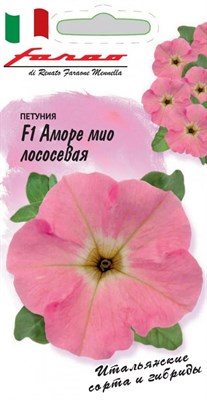 Петуния Аморе мио мелайя F1, лососевая  многоцв. 7 шт. гранул. пробирка, серия Фарао 1071856387 - фото 3825