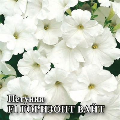 Петуния Горизонт Вайт F1 многоцв. 100 шт. пробирка сер. Профи 1071856185 - фото 3861