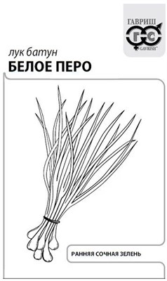Лук на зелень Белое перо 0,5 г б/п с евроотв. 10004807 - фото 388