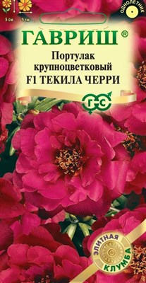 Портулак Текила Черри F1* 5 шт. серия Элитная клумба 10003462 - фото 4103