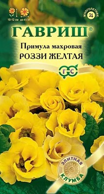 Примула Роззи желтая, махровая* 3 шт. 10008334 - фото 4132