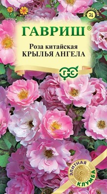 Роза китайская  Крылья ангела* 5 шт. серия Элитная клумба 10000024 - фото 4141