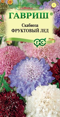 Скабиоза пурпурная Фруктовый лед, махровая смесь 0,2 г 1071858194 - фото 4173