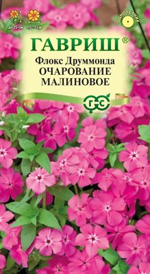 Флокс Очарование малиновое, Друммонда* 0,05 г 10006773 - фото 4223