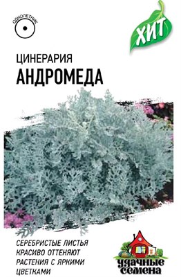 Цинерария Андромеда (приморская)* 0,05 г ХИТ х3 1071858313 - фото 4281