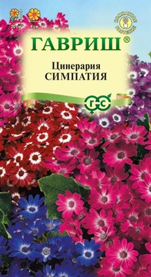 Цинерария Симпатия (цветущая гибридная)* 8 шт. 1071858316 - фото 4284