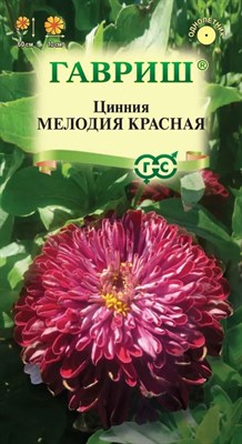 Цинния Мелодия красная 0,3 г 1999949958 - фото 4331