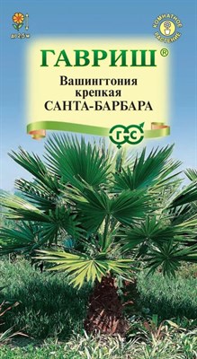 Вашингтония крепкая Санта-Барбара 3 шт. DH 10005782 - фото 4462