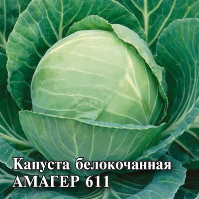 Капуста белокоч. Амагер 611 25,0 г для хранения 1999944119 - фото 4944