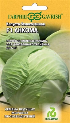 Капуста белокоч. Анкома  F1 10 шт. (для хранения Голландия) 1999942097 - фото 4946