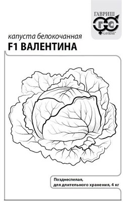 Капуста белокоч. Валентина F1 0,05 г (для хранения) б/п с евроотв. 1071859688 - фото 4955