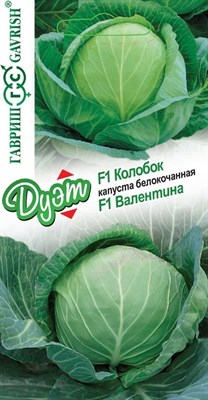 Капуста белокоч. Валентина F1 0,05 г+Колобок F1 0,05 г серия Дуэт Н21 1026998593 - фото 4956