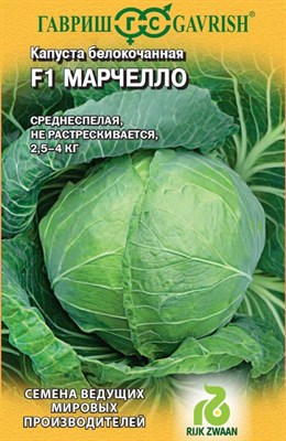 Капуста белокоч. Марчелло F1 10 шт. для квашения (Голландия) 1999942105 - фото 64