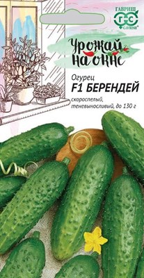 Огурец Берендей F1 10 шт. серия Урожай на окне 10002186 - фото 854