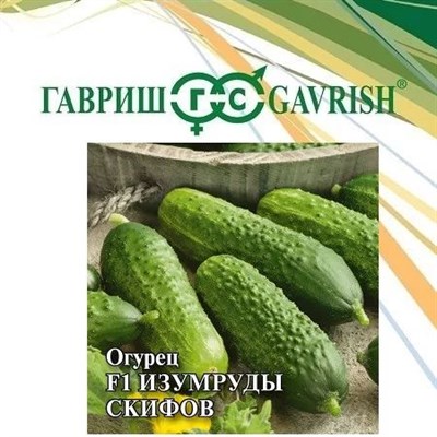 Огурец Изумруды скифов 100 шт. 1070015702 - фото 979