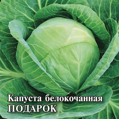 Капуста белокоч. Подарок 25,0 г для квашения 10005657 - фото 99