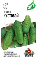 Огурец Кустовой 0,3 г ХИТ х3 1071859189