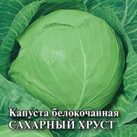 Капуста белокоч. Сахарный хруст 25 г (ранняя) 1071862795